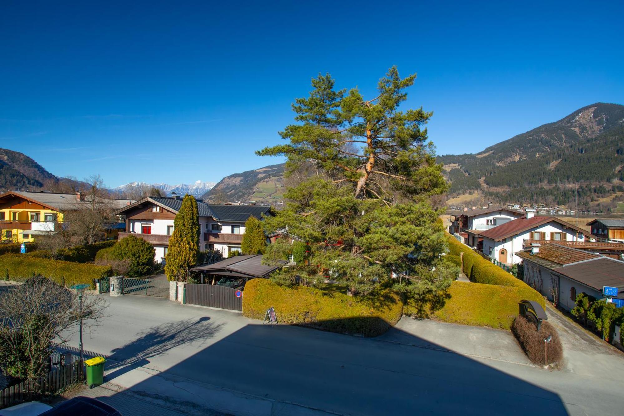 Alpina Apartments - Zell Am See Exterior foto